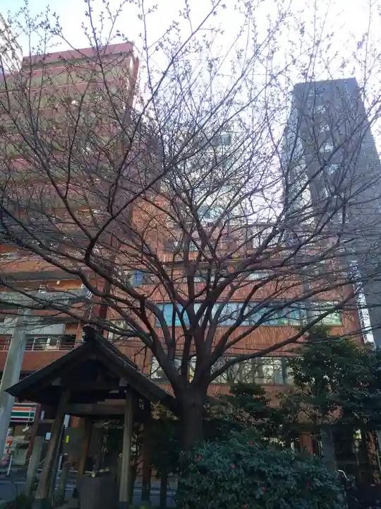 蔵前神社の自然