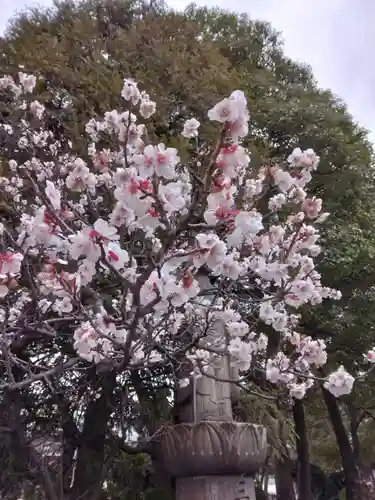 川崎大師（平間寺）(神奈川県)