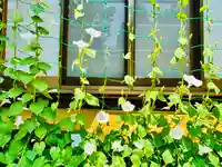 土津神社|こどもと出世の神さま(福島県)