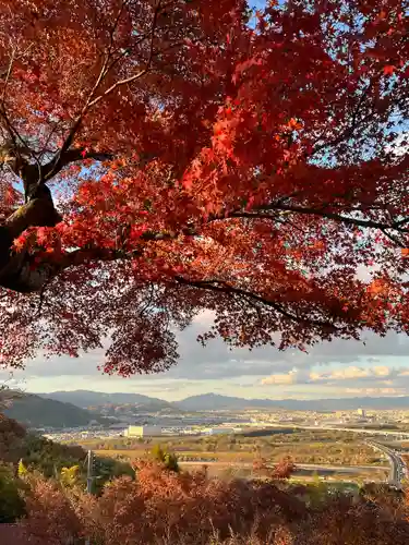 石清水八幡宮(京都府)