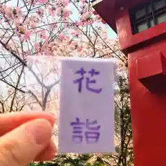 彌彦神社　(伊夜日子神社)(北海道)