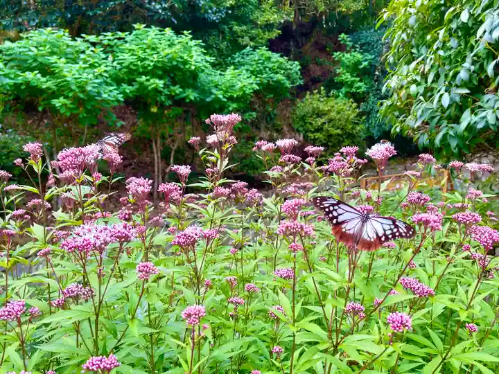 播州清水寺の自然