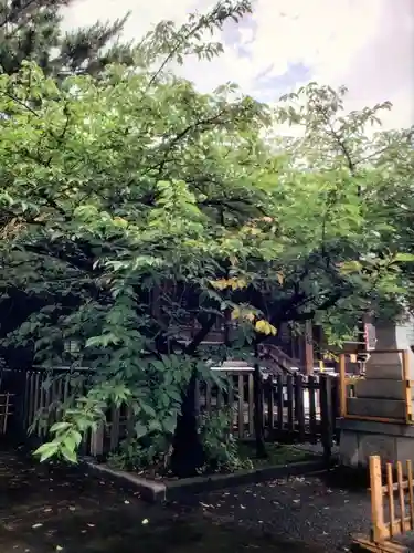 新宿下落合氷川神社(東京都)
