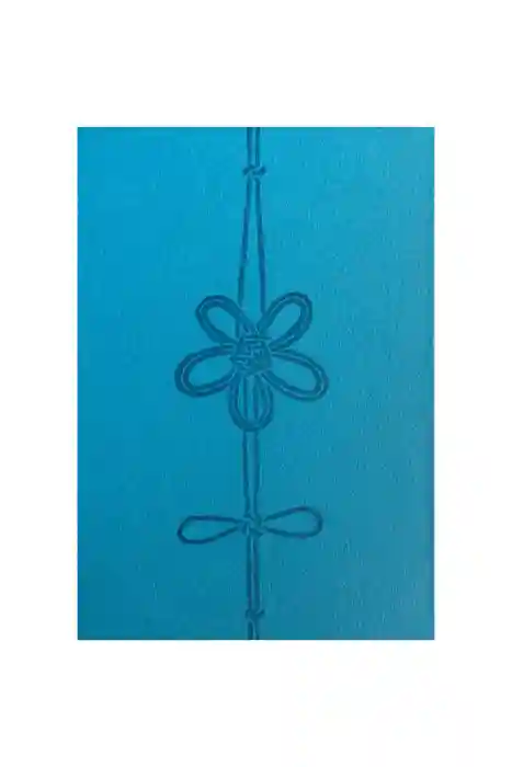 川越氷川神社の御朱印帳