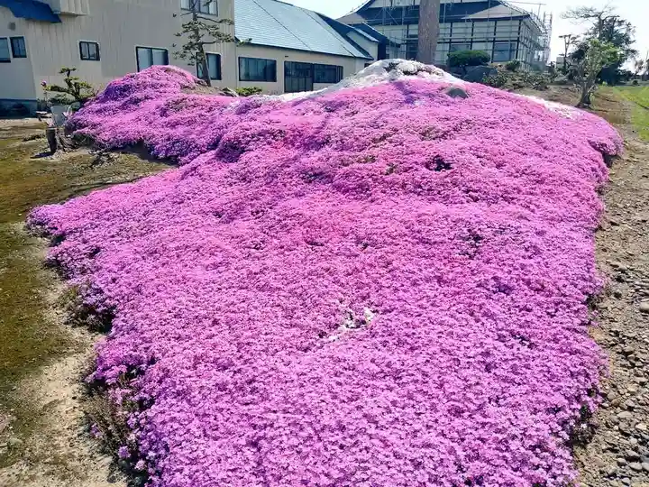 雨竜 専福寺の庭園