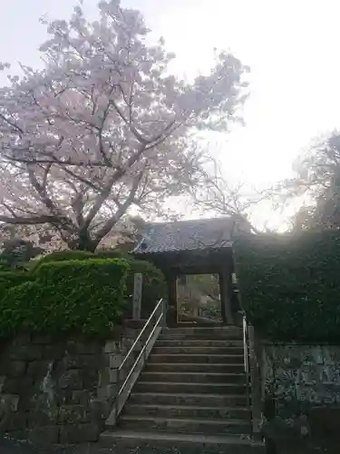 光触寺の山門