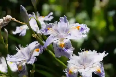 杉山谷不動尊(京都府)