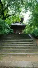 圓隆寺の本殿