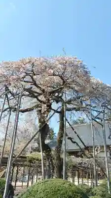 無量壽院(千葉県)