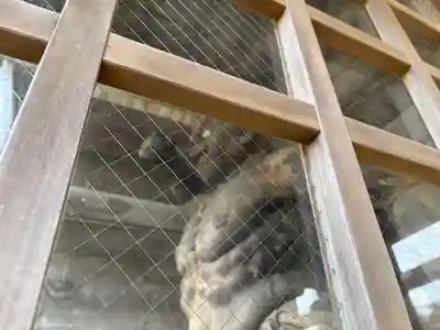 中山寺(福井県)