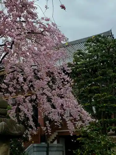 最勝寺(東京都)