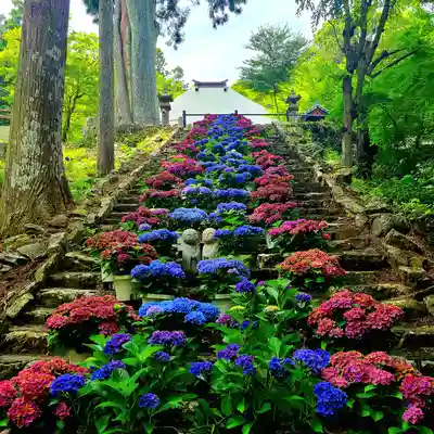 普門寺(切り絵御朱印発祥の寺)(愛知県)