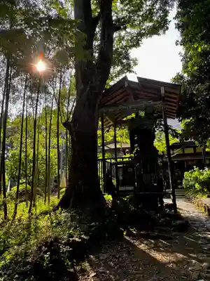 柳津虚空蔵尊 寳性院(宮城県)
