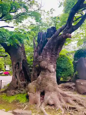 深志神社(長野県)