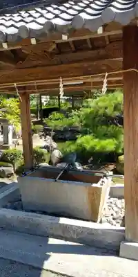 苗村神社の手水舎