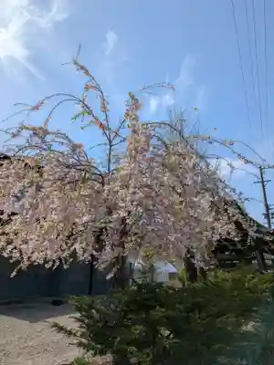 長林寺(岐阜県)