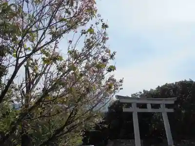 屋久島大社(鹿児島県)