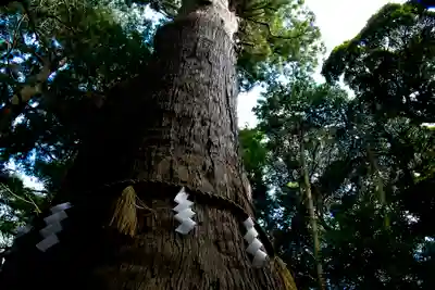 麻賀多神社(千葉県)