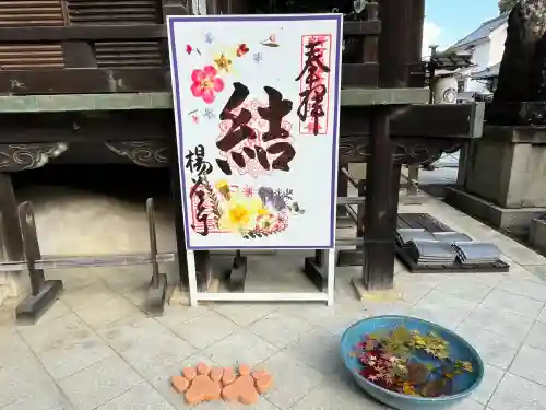 柳谷観音　楊谷寺(京都府)