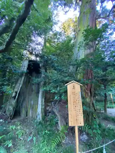 香取神宮(千葉県)