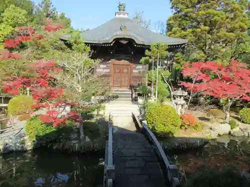 清凉寺の庭園