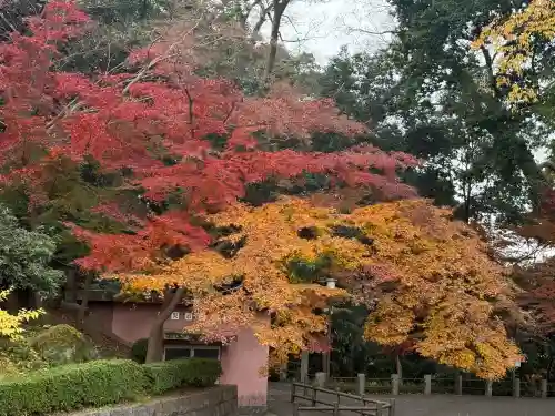 喜多院(埼玉県)