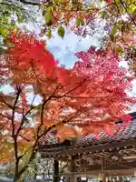 松尾大社(京都府)