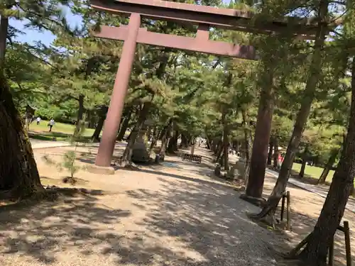 出雲大社の鳥居