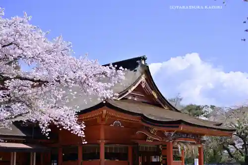 富士山本宮浅間大社(静岡県)