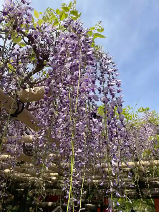 春日大社(奈良県)