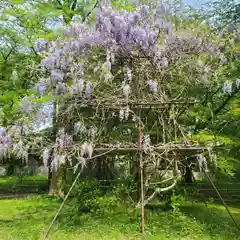 青葉神社の自然