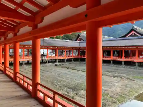 厳島神社の{uncategorized: "未分類", other: "その他", undefined: "問題あり", building: "その他建物", grave: "お墓", sacred_gate: "鳥居", guardian: "狛犬", statue: "像", buddha: "仏像", history: "歴史", nature: "自然", garden: "庭園", animal: "動物", pagoda: "塔", temizu: "手水舎", mountain_gate: "山門・神門", sanctuary: "本殿・本堂", subordinate: "末社・摂社", art: "芸術", scenery: "景色", jizo: "地蔵", ema: "絵馬", goshuin: "御朱印", omikuji: "おみくじ", items: "授与品その他", amulet: "お守り", goshuincho: "御朱印帳", eats: "食事", festival: "お祭り", votive_dance: "神楽", shichigosan: "七五三参", wedding: "結婚式", experience: "体験その他", initially: "初詣", around: "周辺", anti_infection: "感染症対策"}