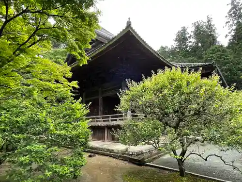 妙本寺のその他建物