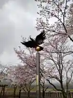 大斎原(熊野本宮大社旧社地)のその他建物