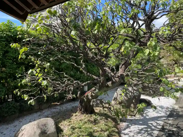 良泉寺(神奈川県)