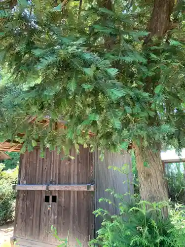 大杉神社のその他建物