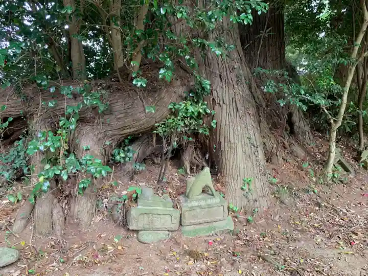 稲荷大神(千葉県)