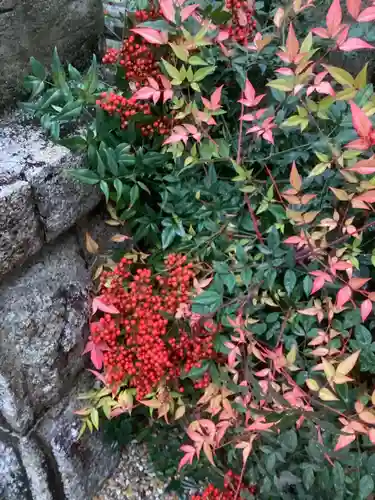三輪神社の自然