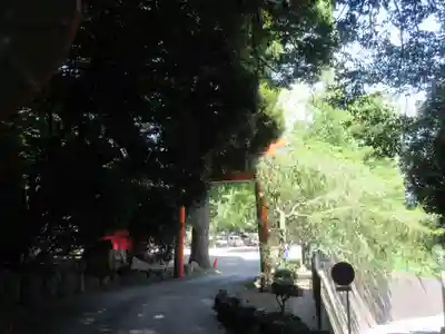 伊豆山神社(静岡県)