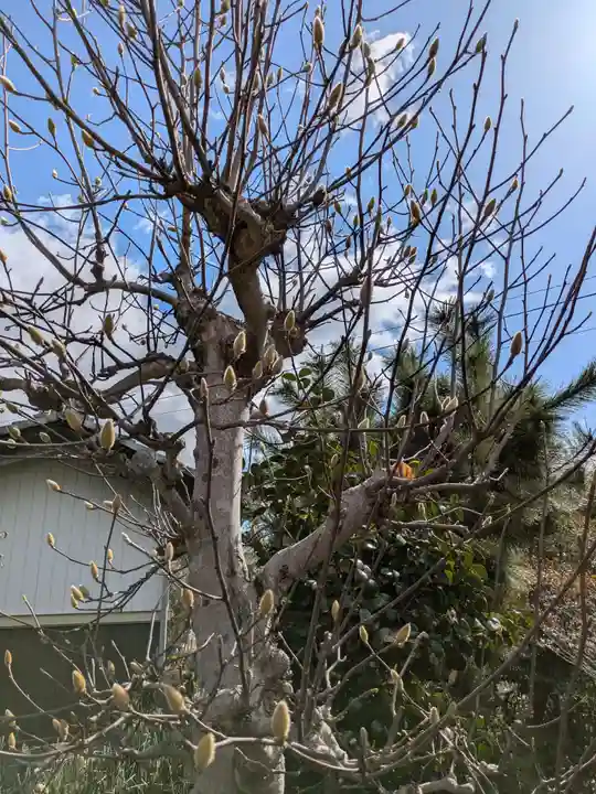 正行寺(岐阜県)