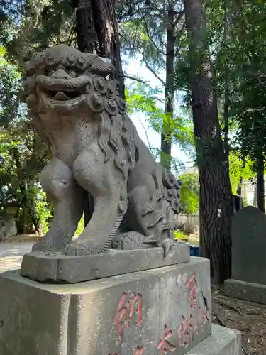 岩槻久伊豆神社の狛犬