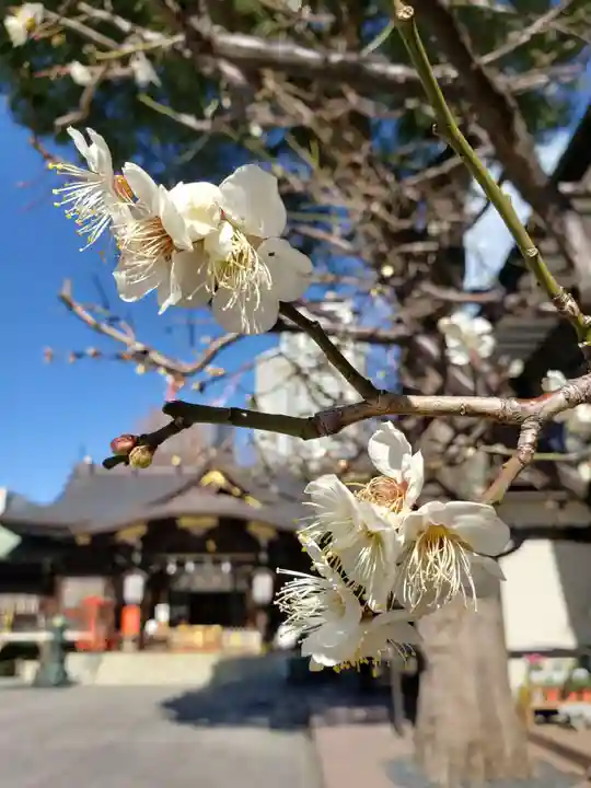 熊野神社(東京都)