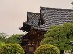 東寺（教王護国寺）の建物その他