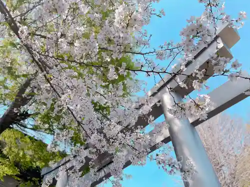 穏田神社の自然
