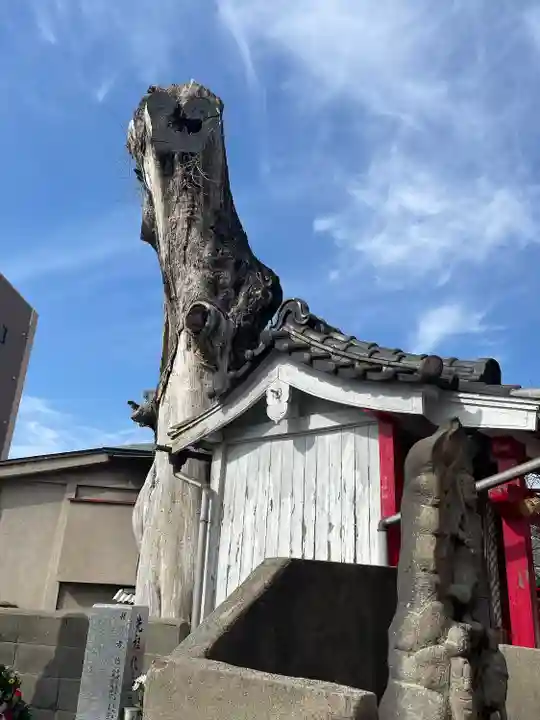 榎神社(大阪府)