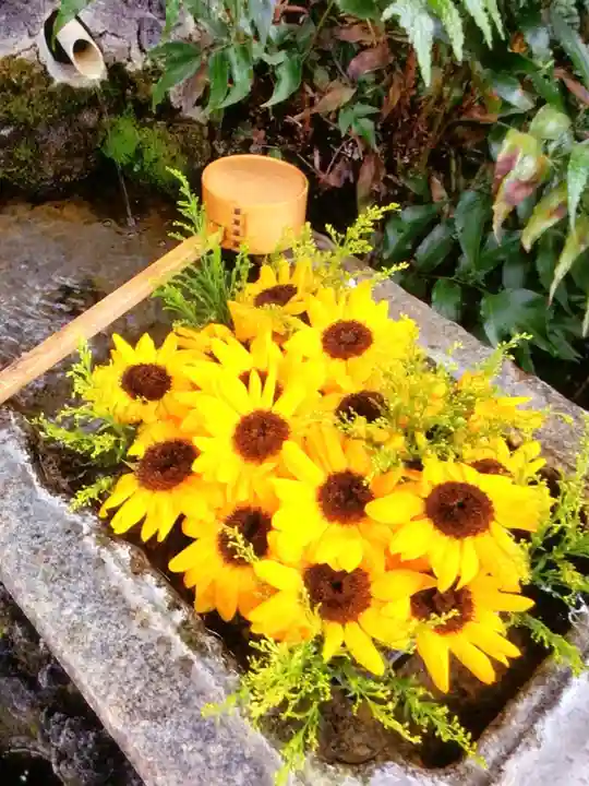 本郷氷川神社(東京都)