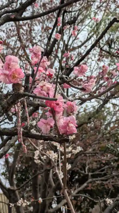 水火天満宮(京都府)