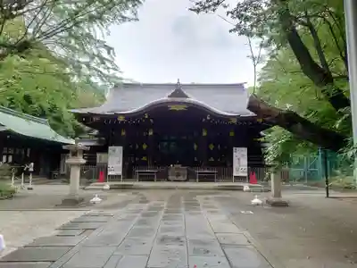 渋谷氷川神社の本殿・本堂