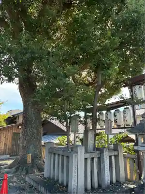 若宮八幡宮（陶器神社）(京都府)