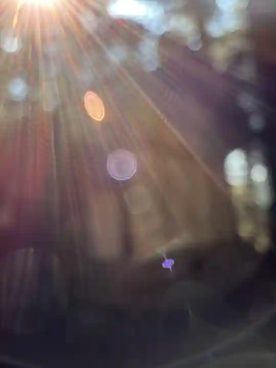 室生龍穴神社(奈良県)